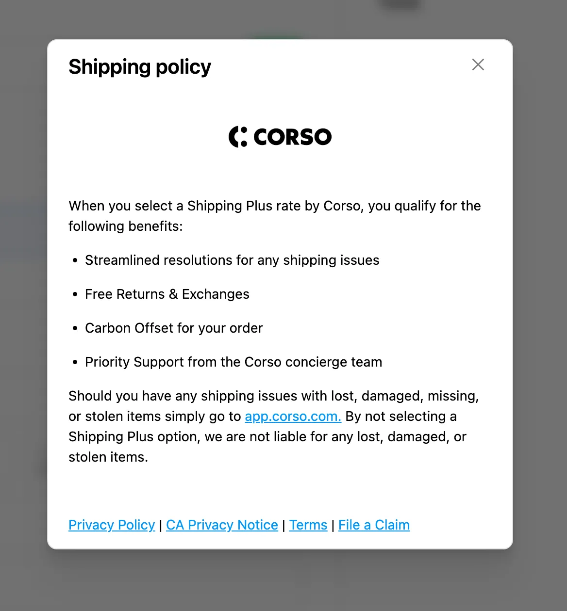 Example Shipping Policy